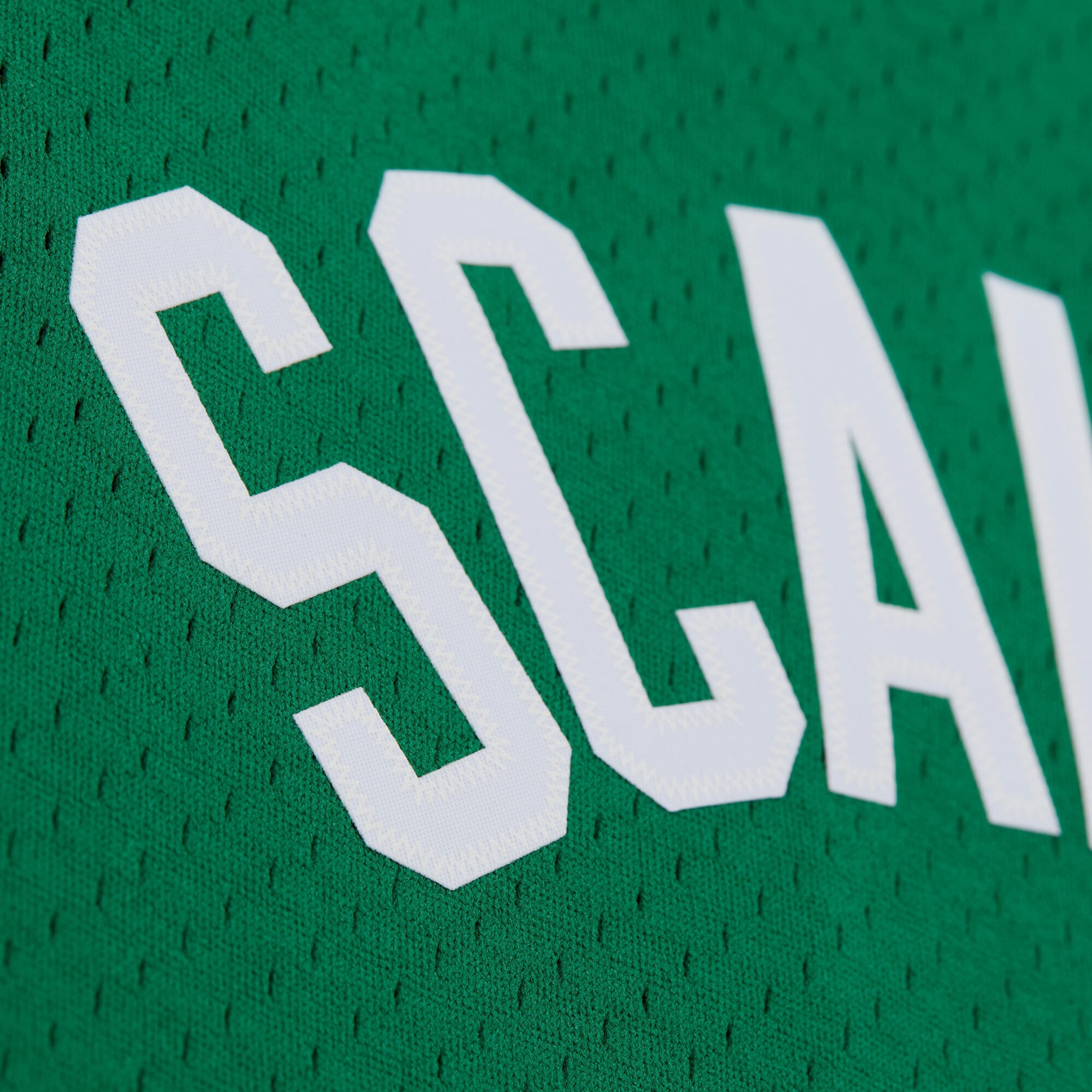 [ESK] Brian Scalabrine Boston Celtics 2007/08 Hardwood Classics Swingman Jersey - Kelly Green
