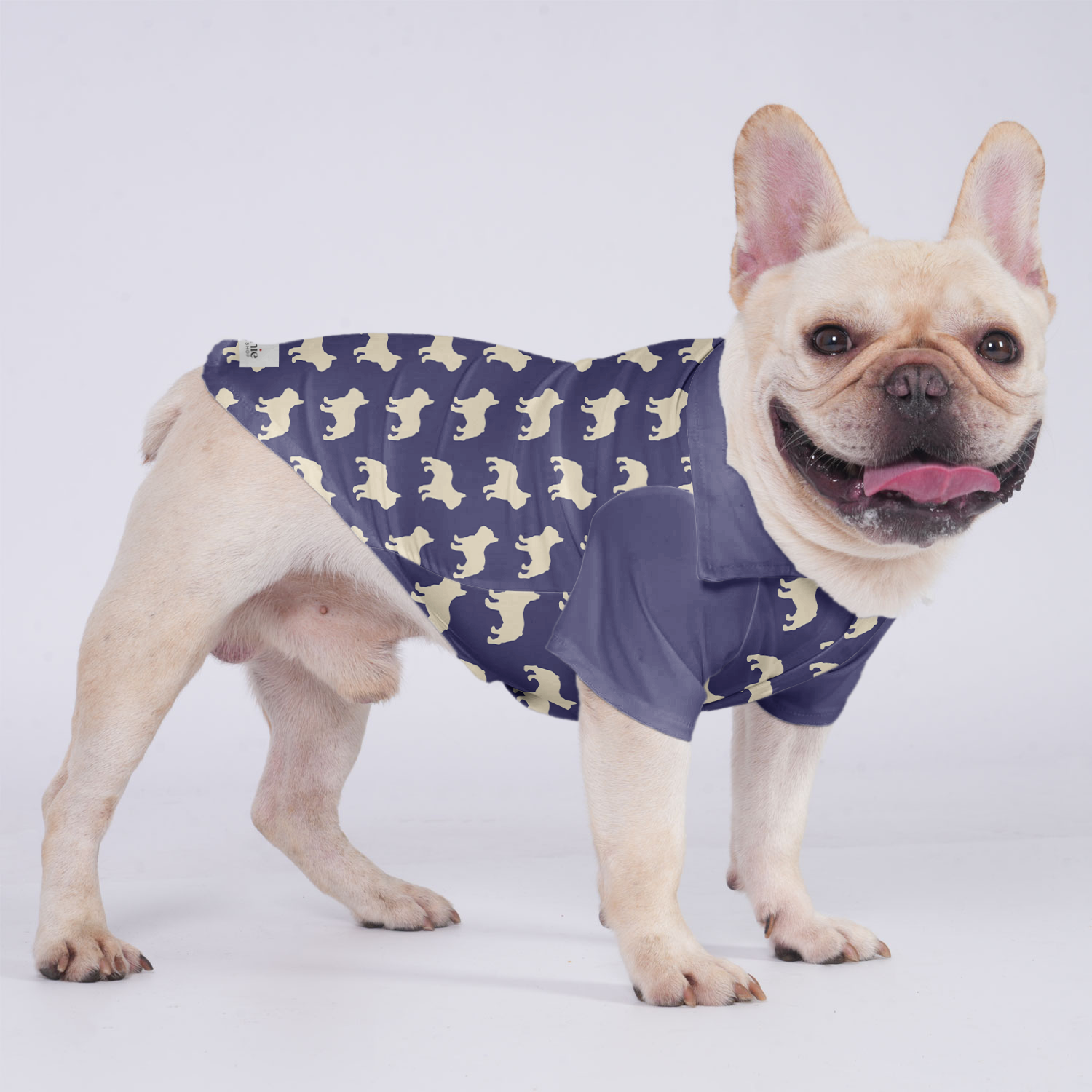 Nelly - Trendy Hawaiian Shirt For Frenchies For Frenchie Fans