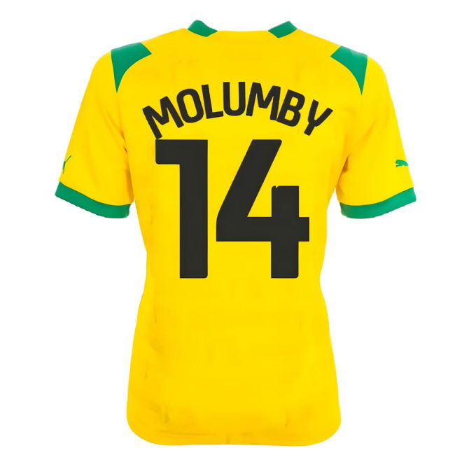 West Bromwich Albion official style Away Shirt 2022-2023 (Men