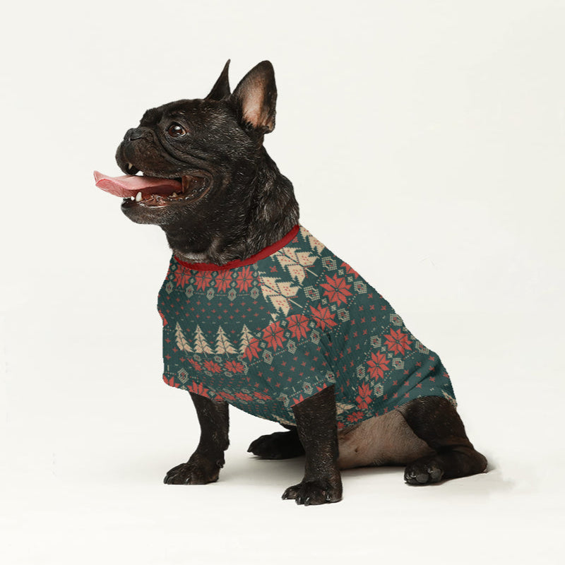 Street-Ready Daisy - Wool Sweater For Frenchies - Ugly Christmas Swea...