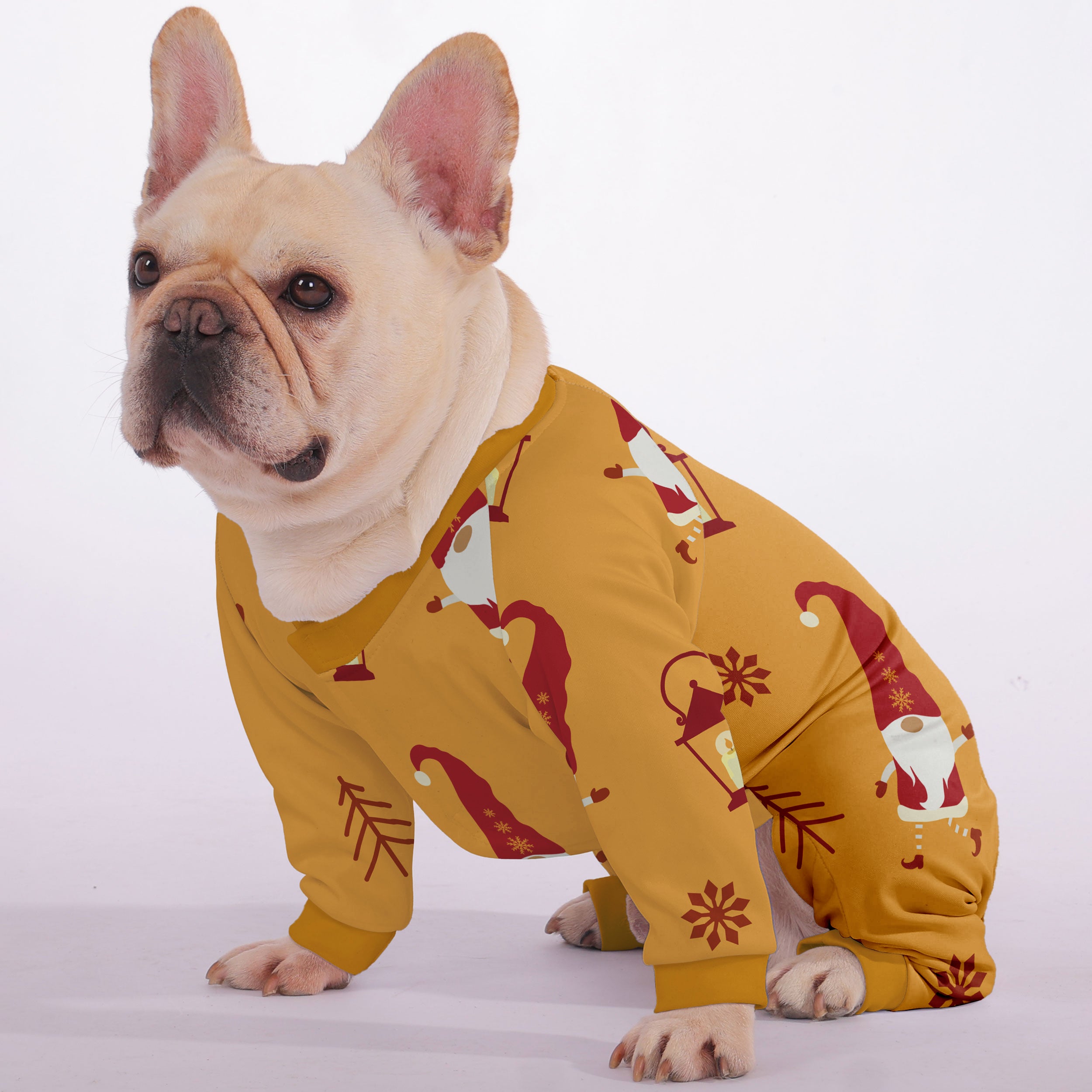 French Bulldog Pebble Frenchie Pajama Useful Frenchie Gear