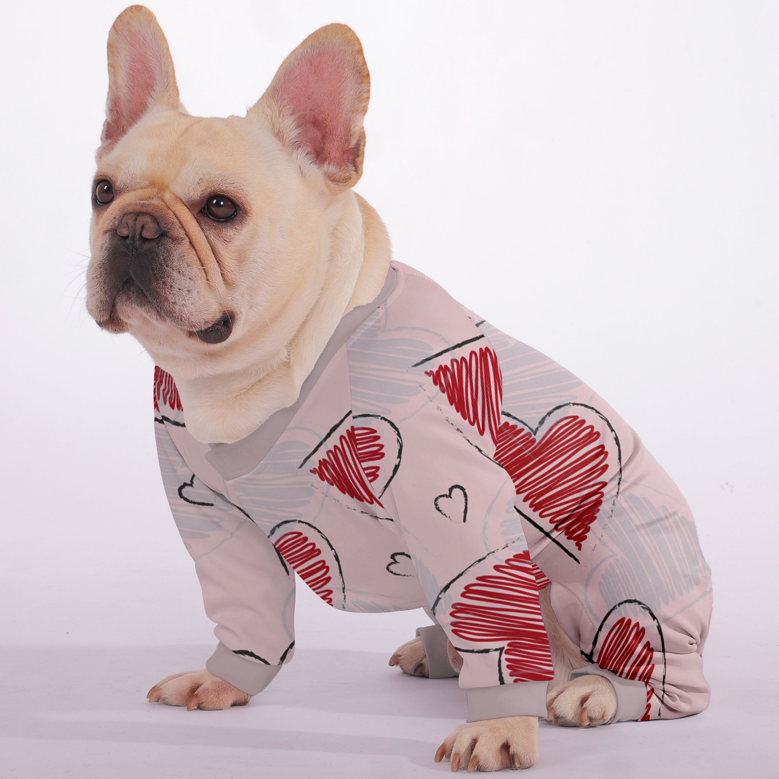 Remi - Frenchie Frenchie Pajama Paw Protection | Durable Build