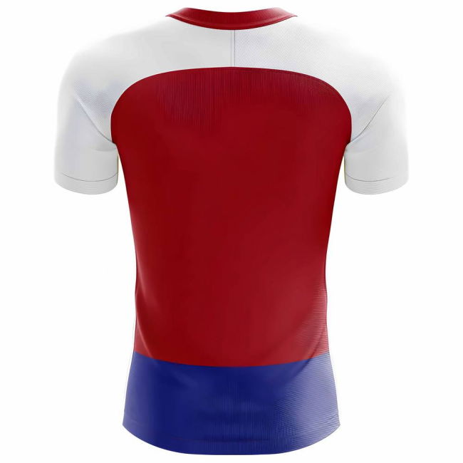 Professional Style Slovakia Home Pro Shirt 2025-2026
