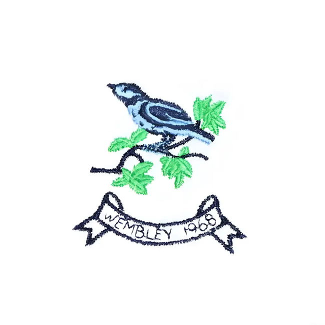 2021-22 West Brom Official Home Soccer Jersey West Bromwich Albion ...