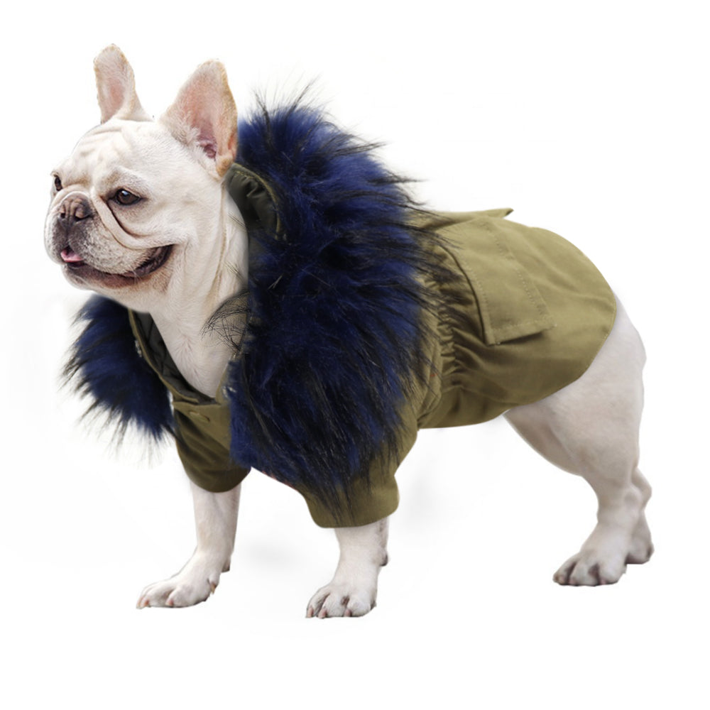 Street-Ready Pawmax Coat V2 - French Bulldog Coat (ws46) for Dog Owners