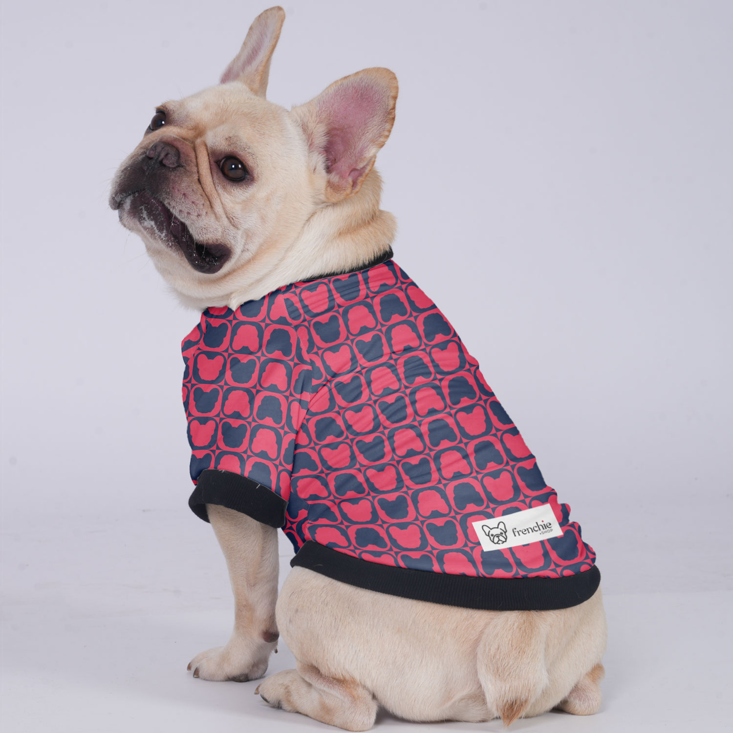 - Vet-recommended Jacket For French Bulldog Summer Wear | Durable Build