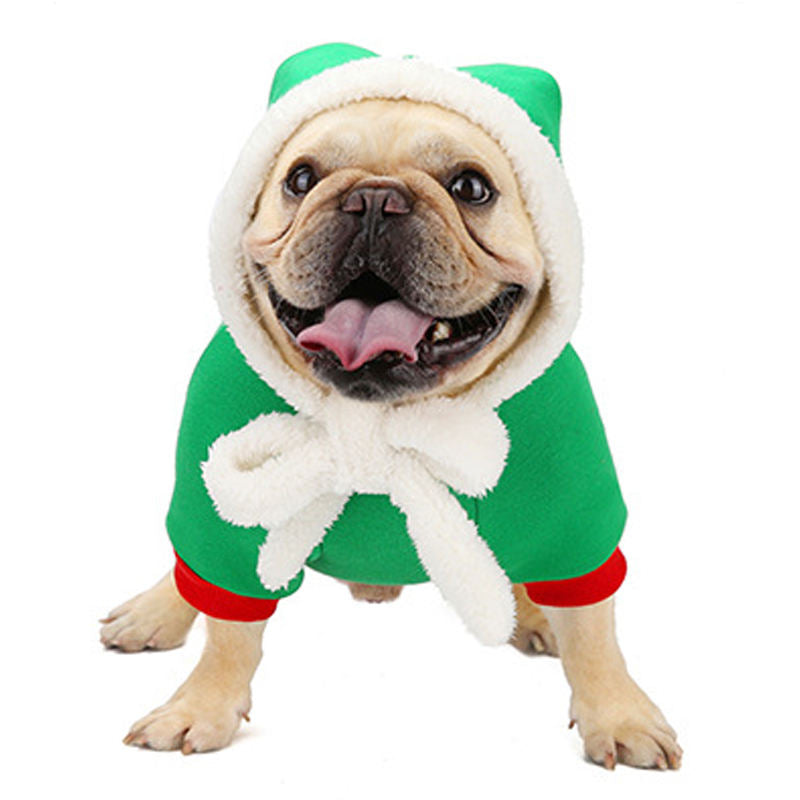 Costumes Spread Joy With Festive Fashion Summer Wear | Breed-optimized