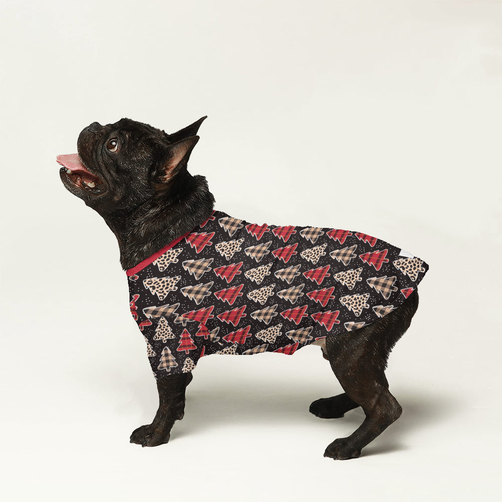Barry - Wool Sweater for Frenchies