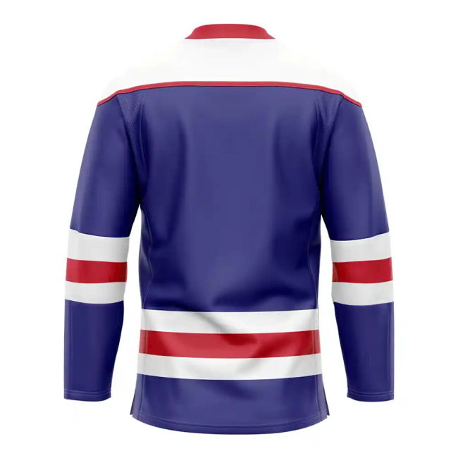 Replica Quality France Home Replica Jersey (Adults) (1)