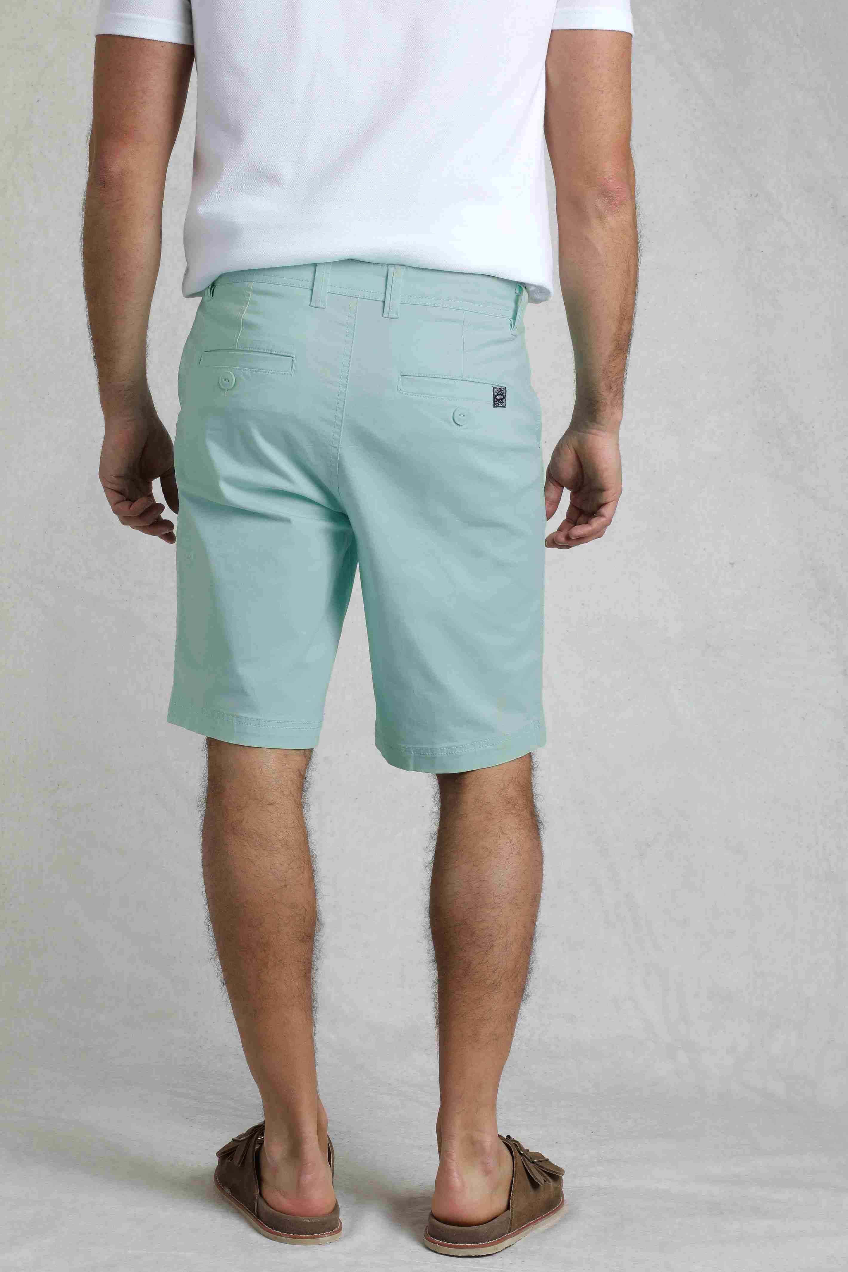 Rayburn Cotton Flat Front Shorts Seafoam