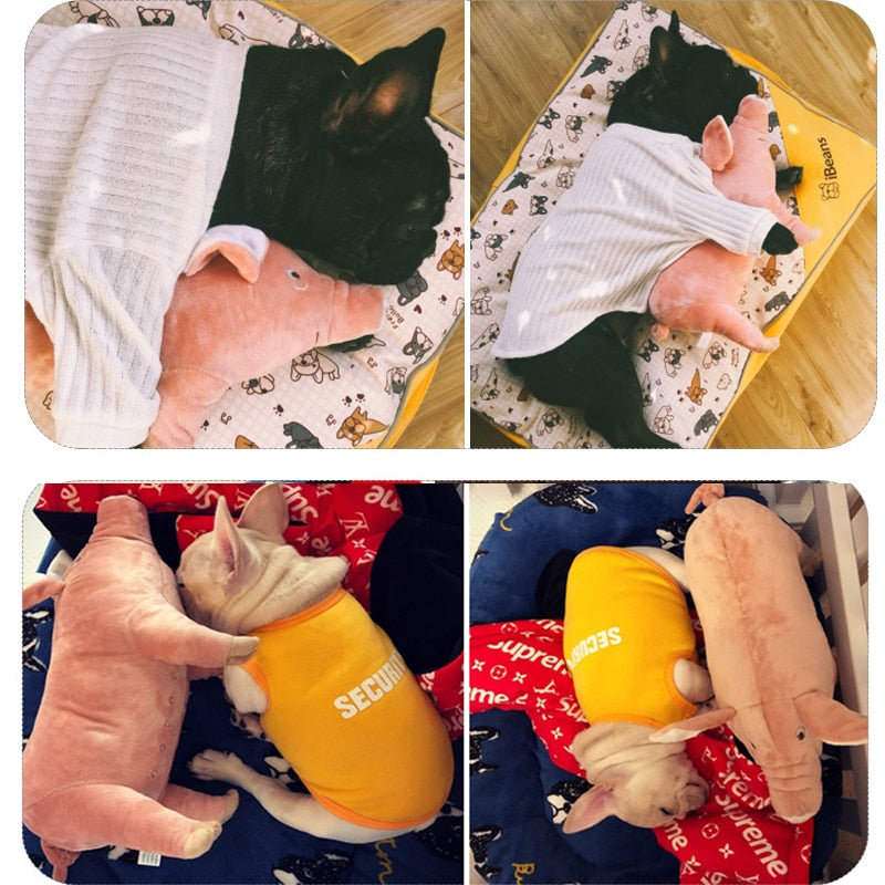 Comfortable Non-slip Pig - Premium Pillow Stuffed Paw Protection