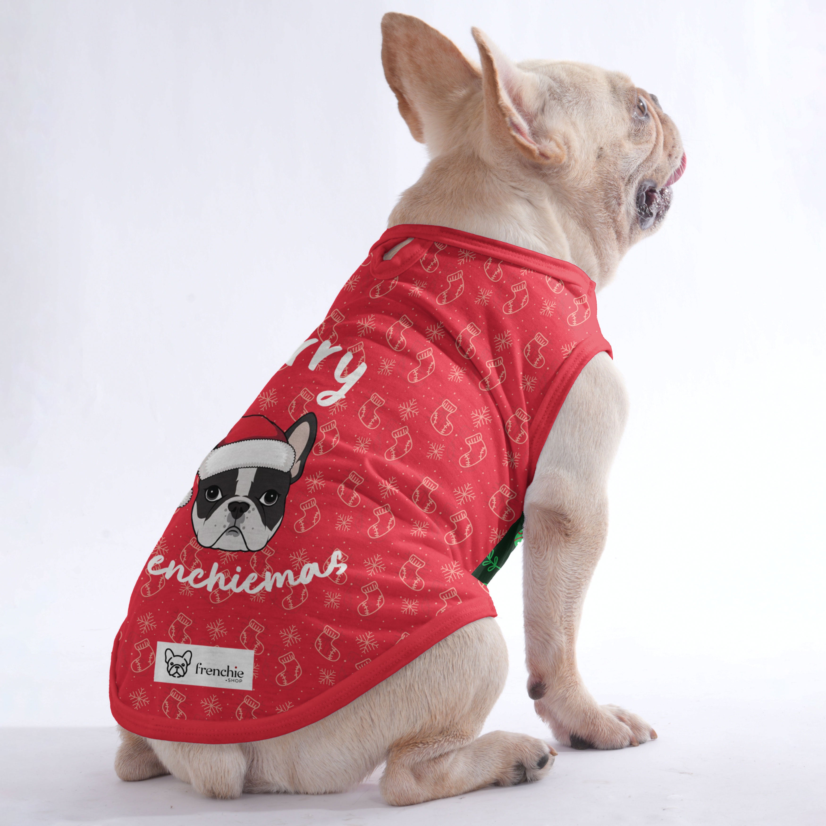 Stylish Velvet - Shirt For Frenchies - Frenchie Shop Original for Daily