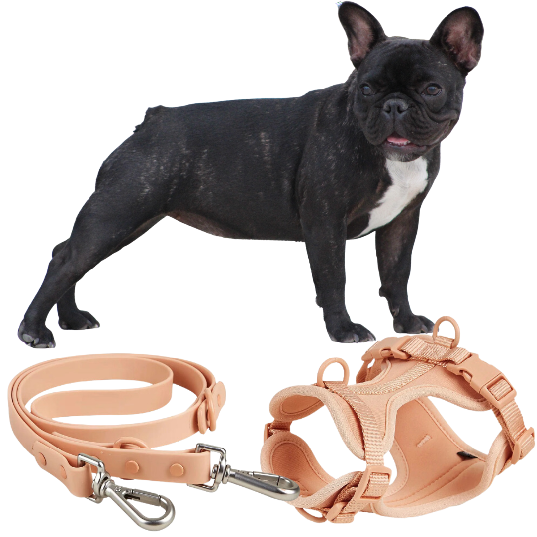 French Bulldog Frenchie Quick Release Harness Leash Set Practical Dog Gear