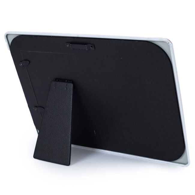 Adult Crystal Palace FC No1 Fan Picture Frame Sign