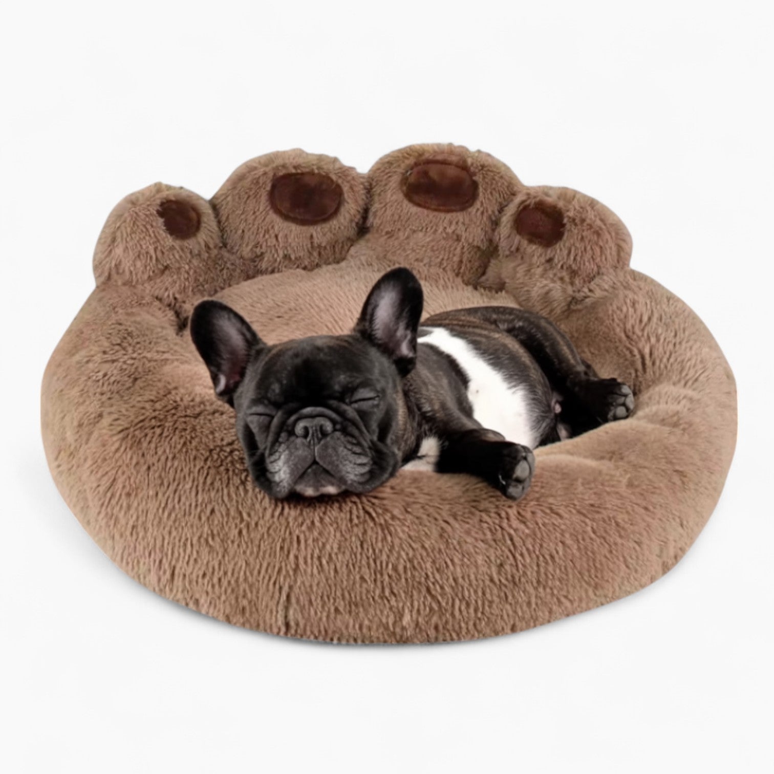 Frenchie Sofa Dog Bed – Supportive Design For Compact Bodies Pet Gear