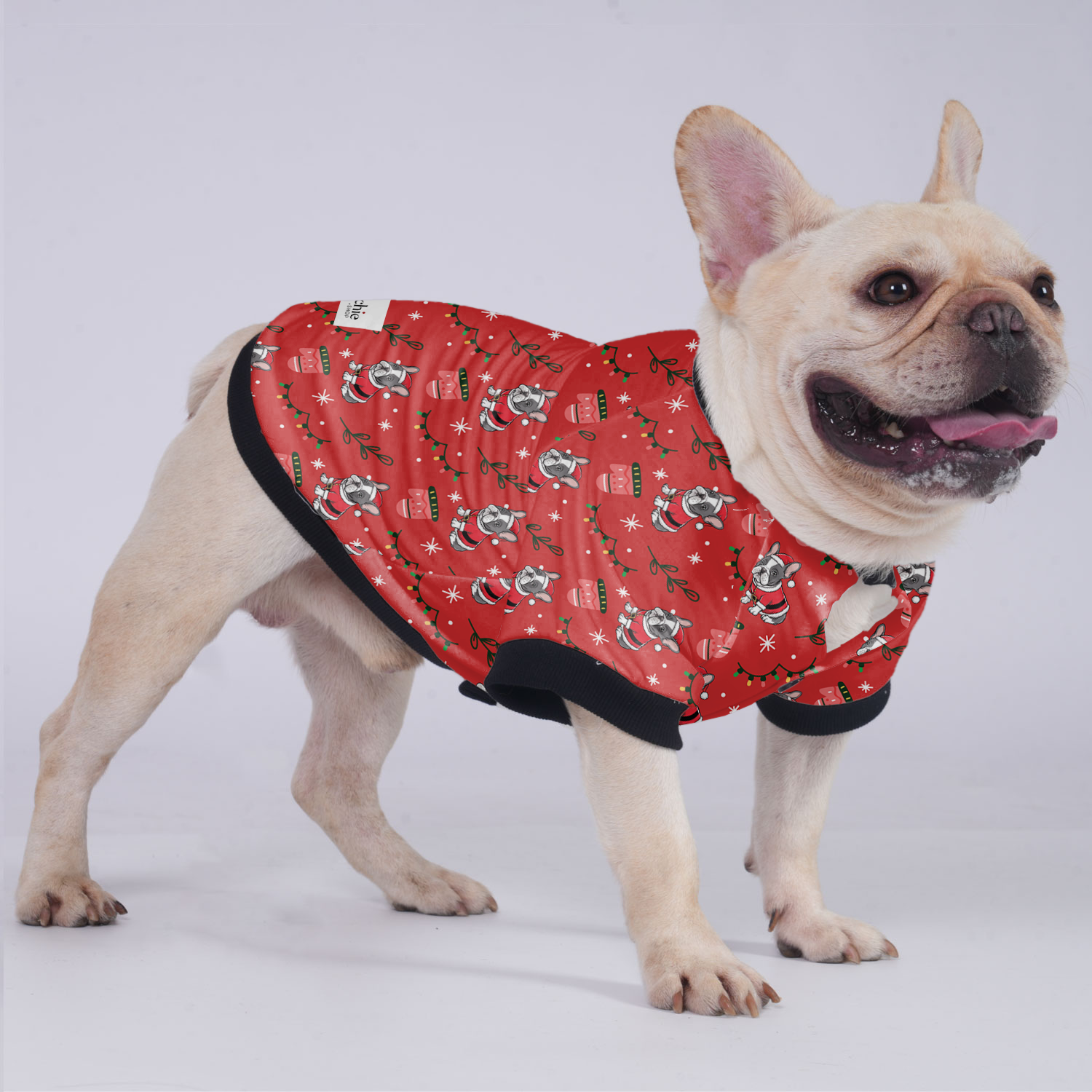 Everyday Comfortable Kobe - Jacket For French Bulldog for Home Use