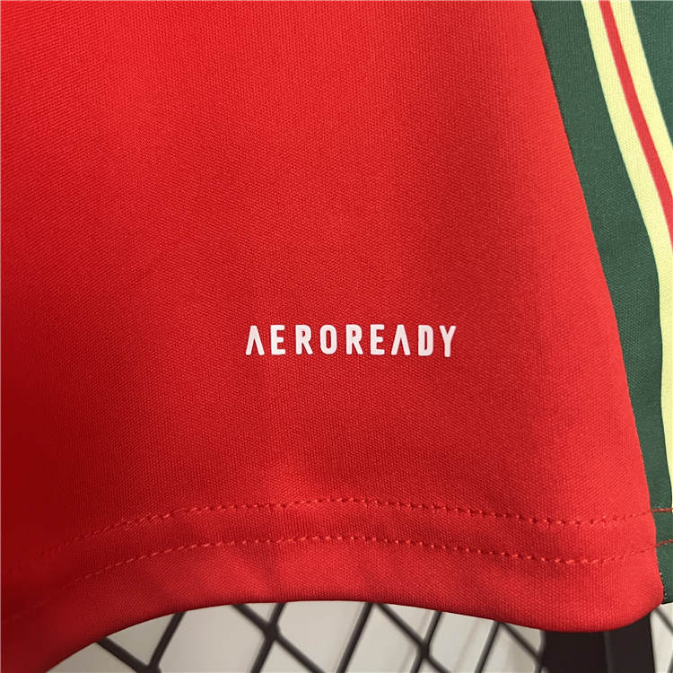 Performance Driven UEFA Euro 2024 Wales Football Shirt Home Soccer