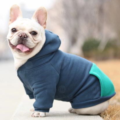 Warm Hoodie for Frenchies (CS6)