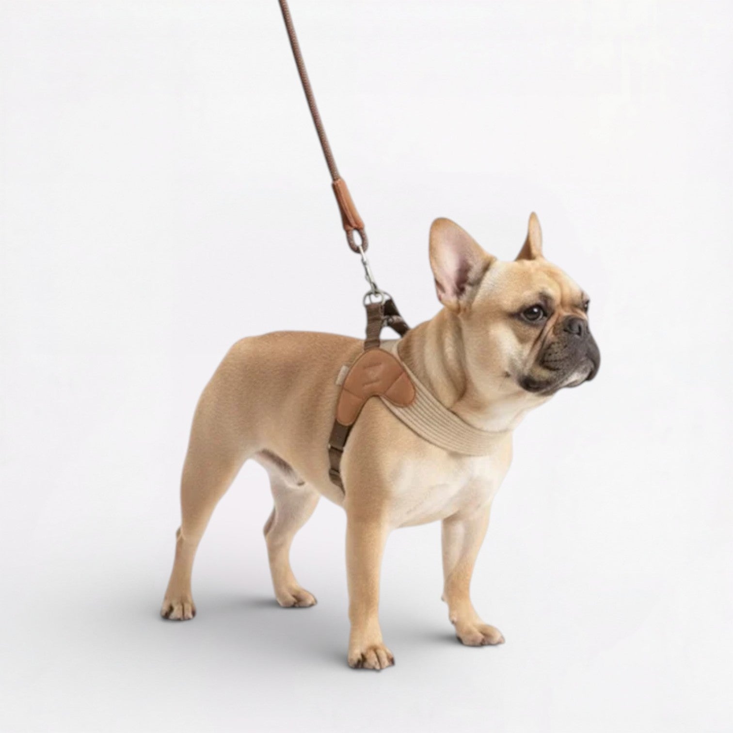 French Bulldog Pawgent Frenchie Harness Leash Set – Lightweight No Pull