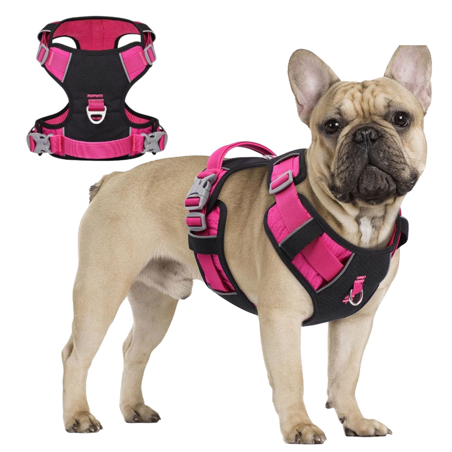 PupBright No Pull Frenchie Reflective Harness