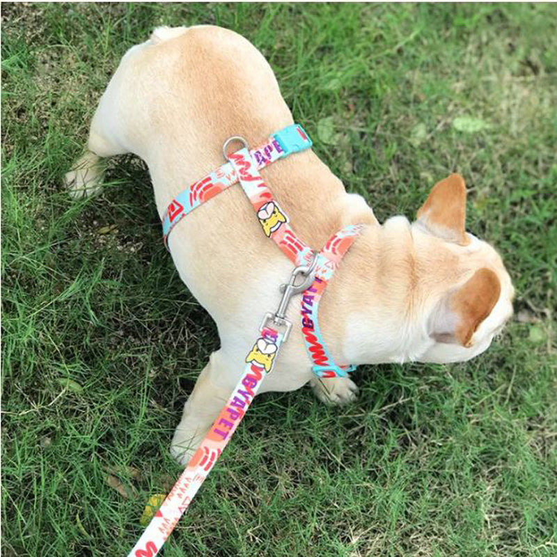 French Bulldog Elite French Bulldog No Pull Fashion Harness And Leash