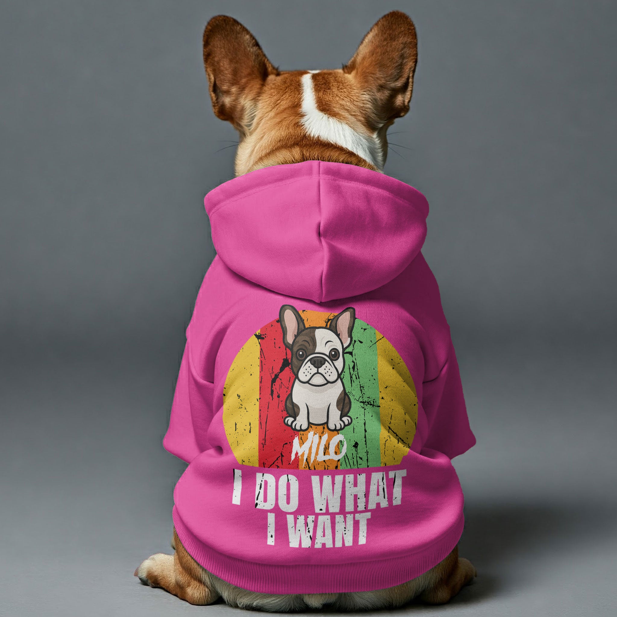 French Bulldog I Do What I Want Personalized French Bulldog Hoodies