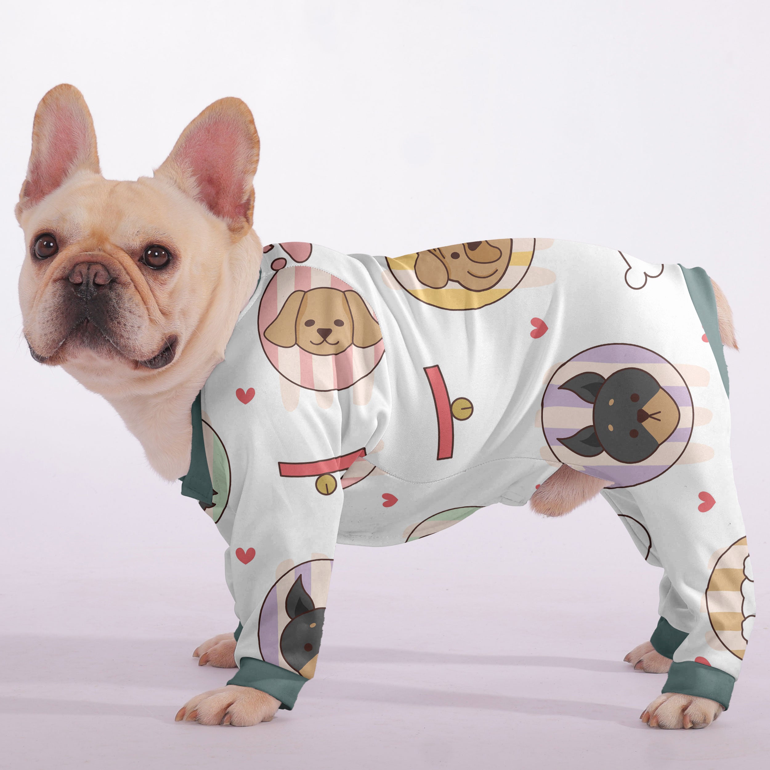 Vet-recommended River - Durable Frenchie Pajama Summer Wear