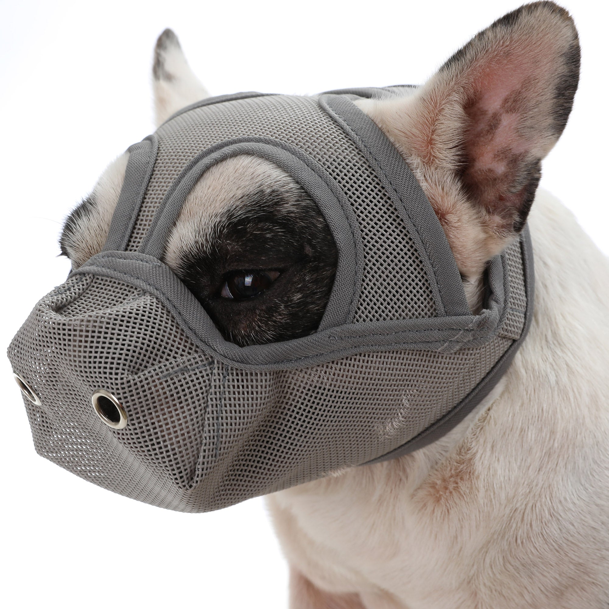 - Frenchie Secure And Breathable Mesh For Aggressive Dogs Summer Wear