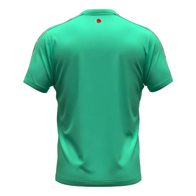 Belarus Away Shirt 2024-2025 edition