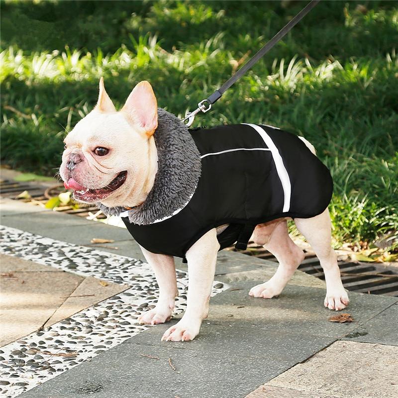 French Bulldog Warm Coat For Frenchie (cs1) Warm Dog Outfit