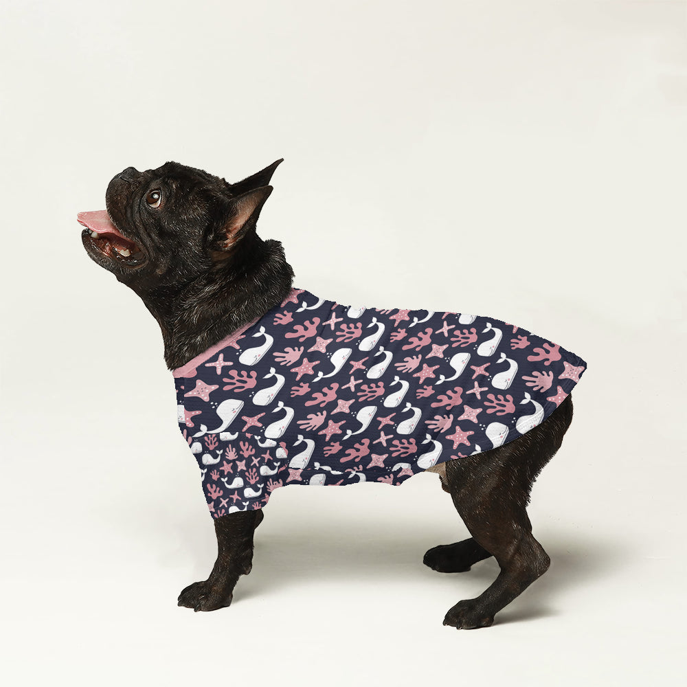 Cozy Covi - Wool Sweater For Frenchies for French Bulldog Lovers Stylish