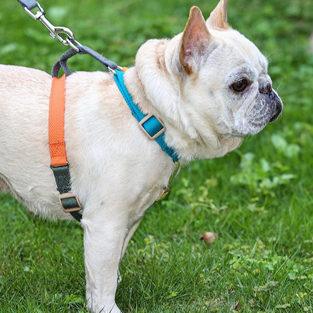 Durable Adjustable Comfort Frenchie Chest Strap Harness For Outdoor A...