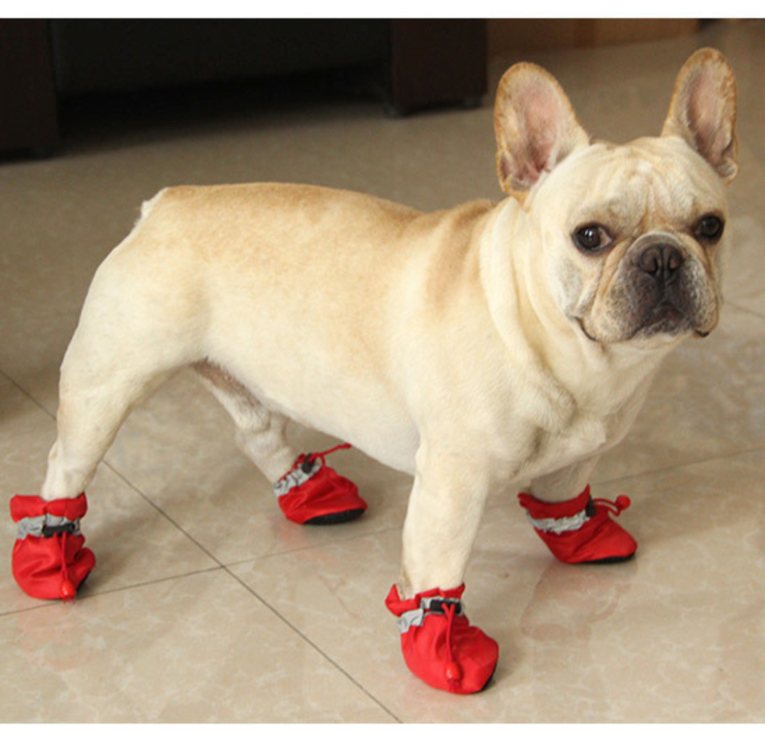 French Bulldog Warm Boots For Frenchies (ws029) Warm Dog Outfit