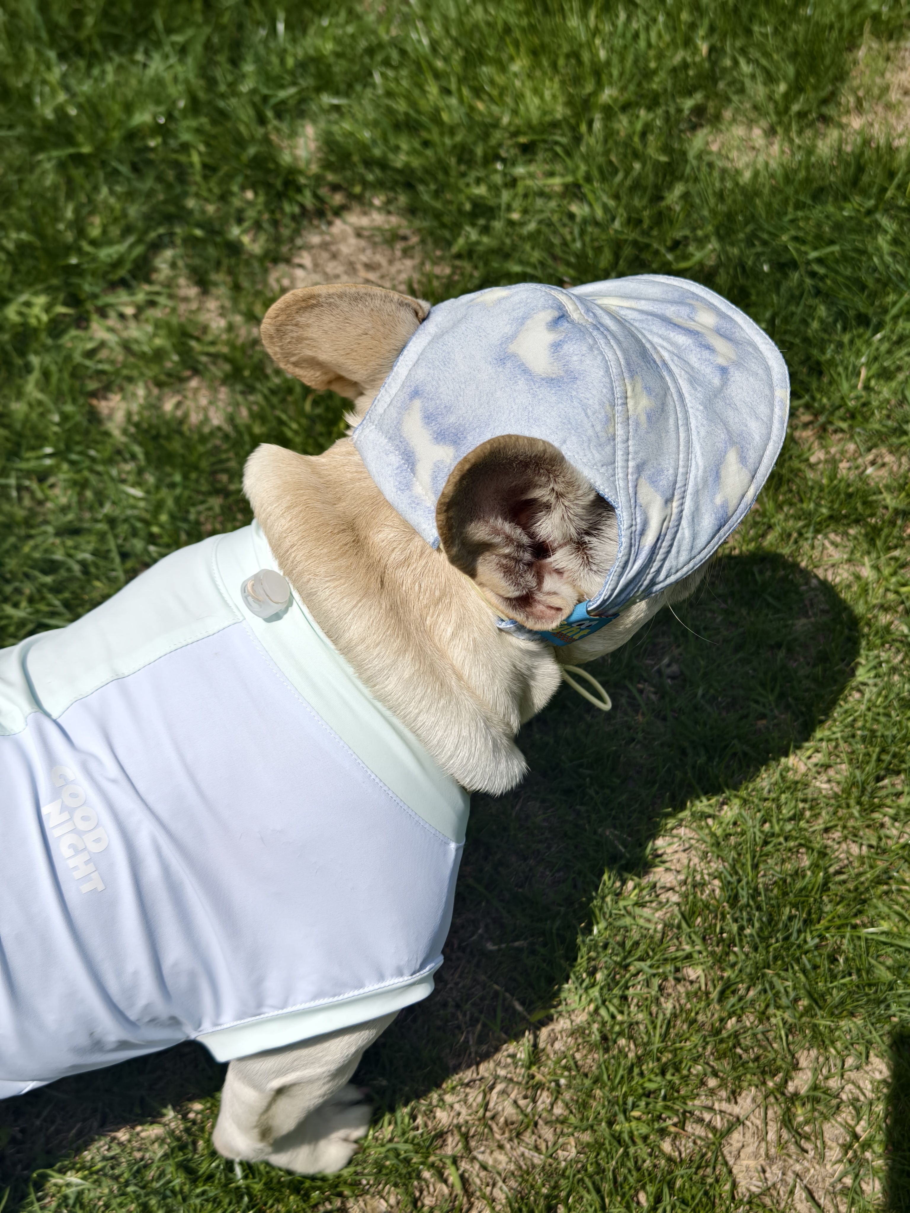 French Bulldog French Bulldog Hat – Adjustable Comfortable Denim Light