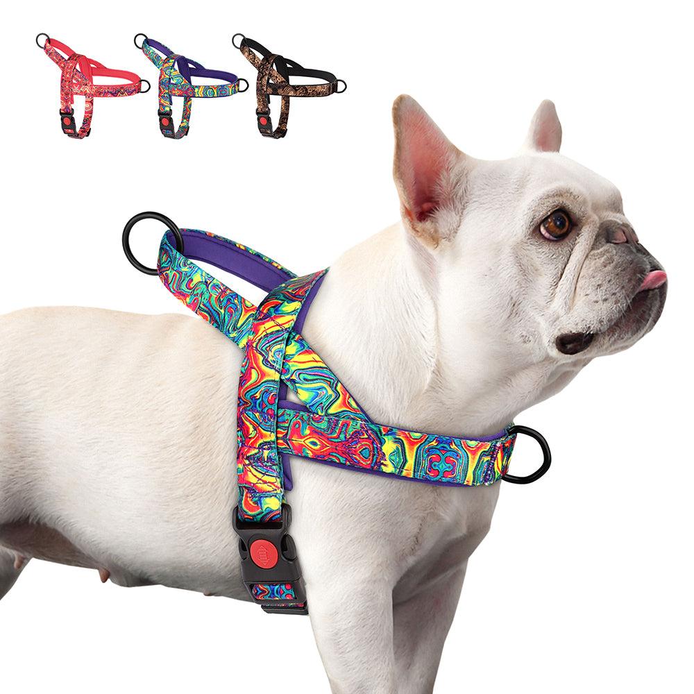 PrintPup No Pull Frenchie Harness with Unique Print Patterns