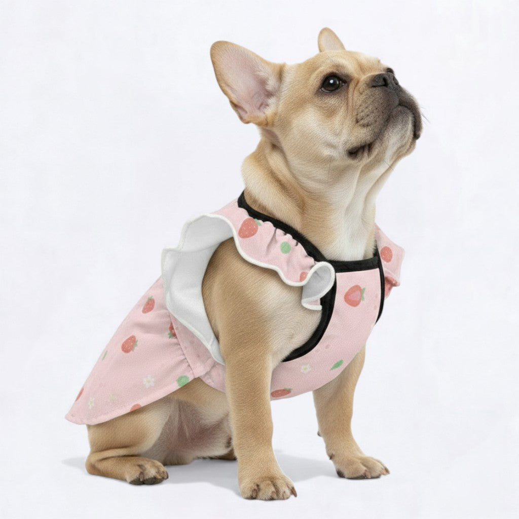 MIla - Adorable Dress for Frenchie Girls
