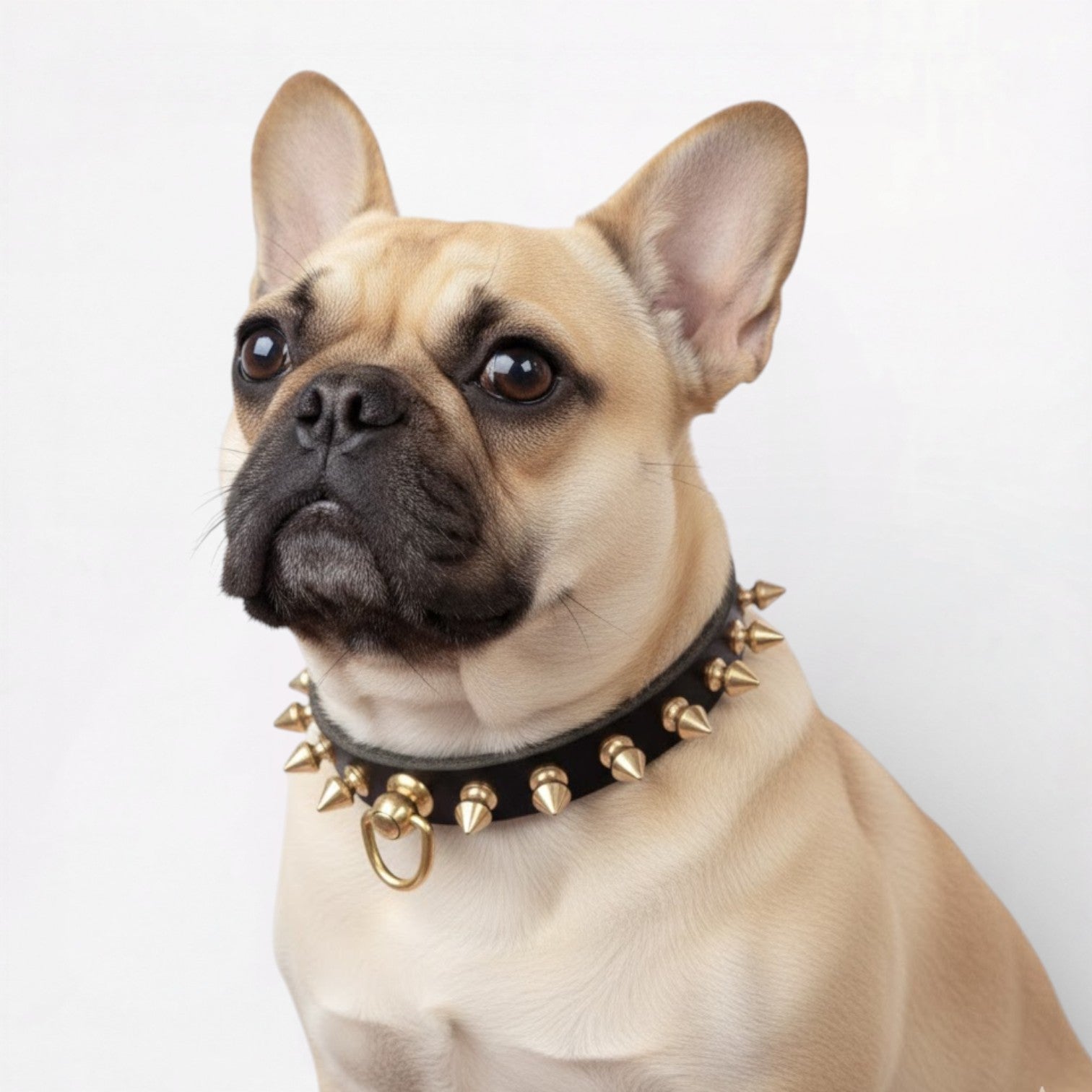 – Anti-bite Studded Leather Dog Necklace Indoor Comfort | Comfy Fit