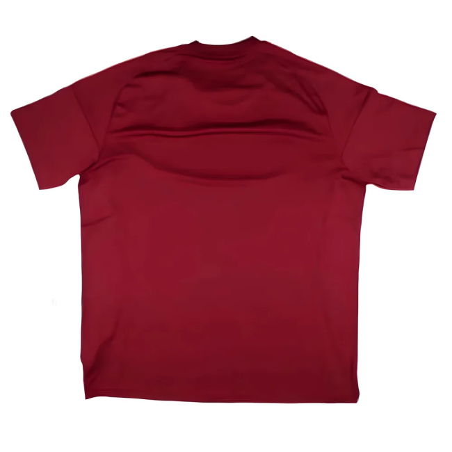 Player Issue Style Latvia Home Professional Jersey 2024-2025