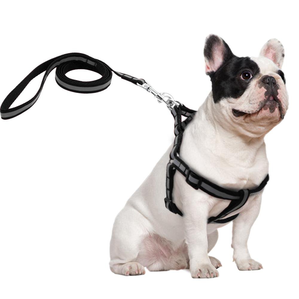 French Bulldog Reflective Frenchie Harness And Leash Set (ws58) Practical Dog Gear