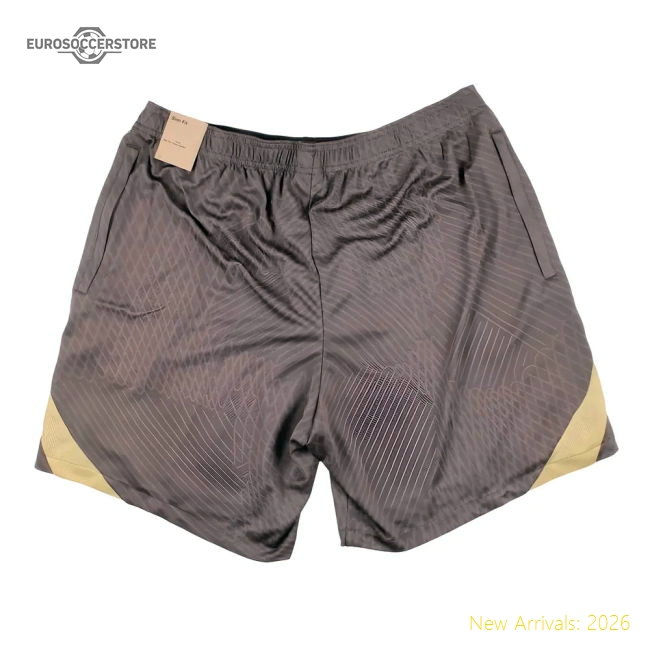 Premium 2023-2024 Tottenham Strike Training Shorts (ironstone)