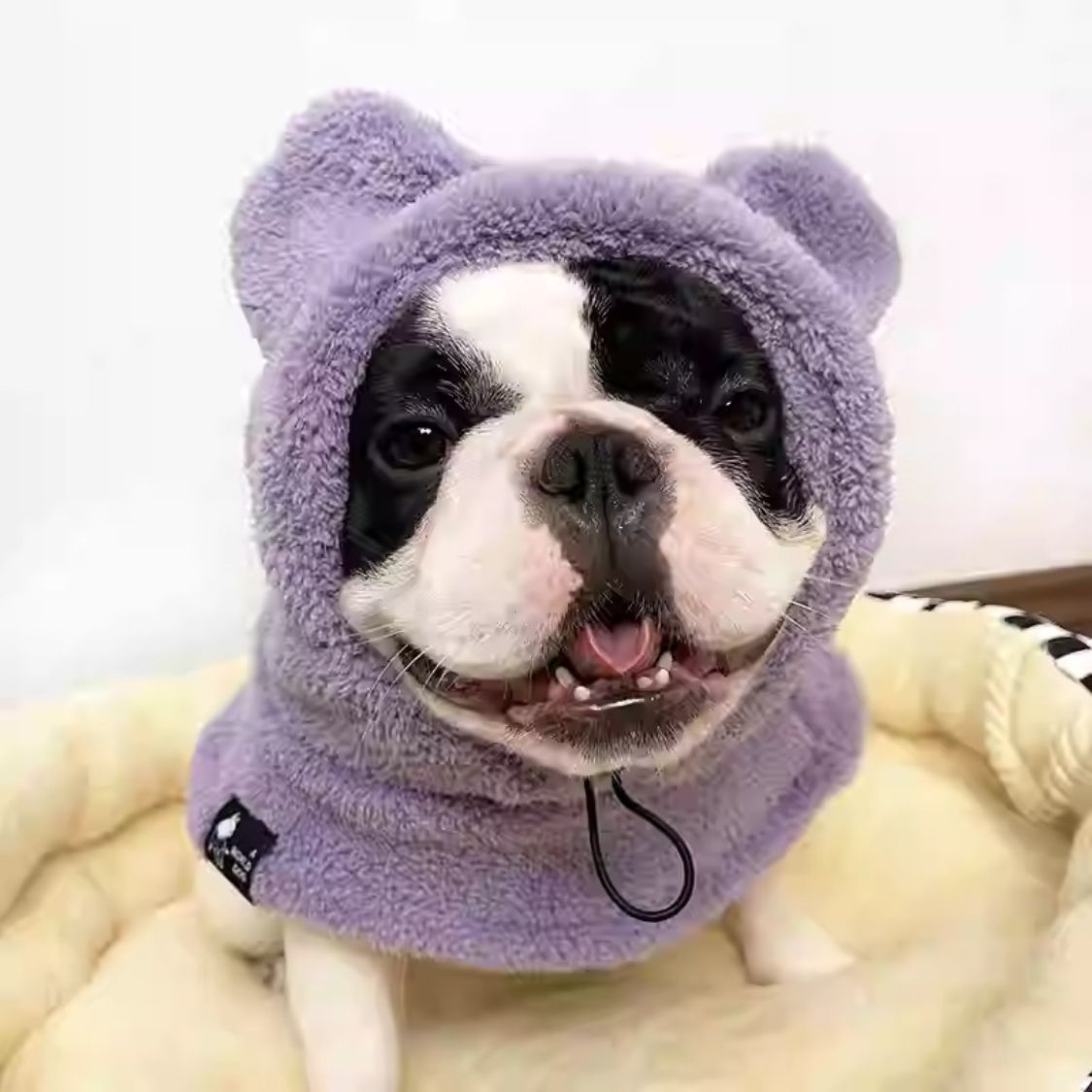 Warmie Frenchie Winter Plush Hat - Cozy & Stylish for French Bulldogs
