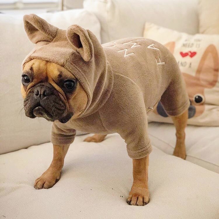 - Frenchie Lover Hoodie For Frenchie (cs8) For Dog Lovers | Comfy Fit