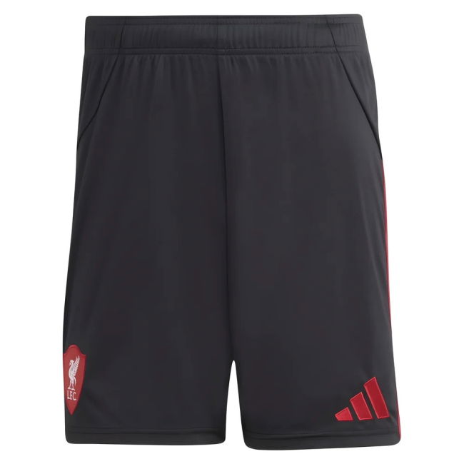 Adult Liverpool Away Jersey 2025-2026 #48