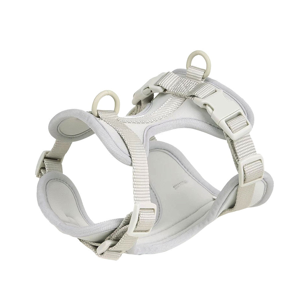 Quick Release Harness Leash Set Paw Protection | Vet-recommended