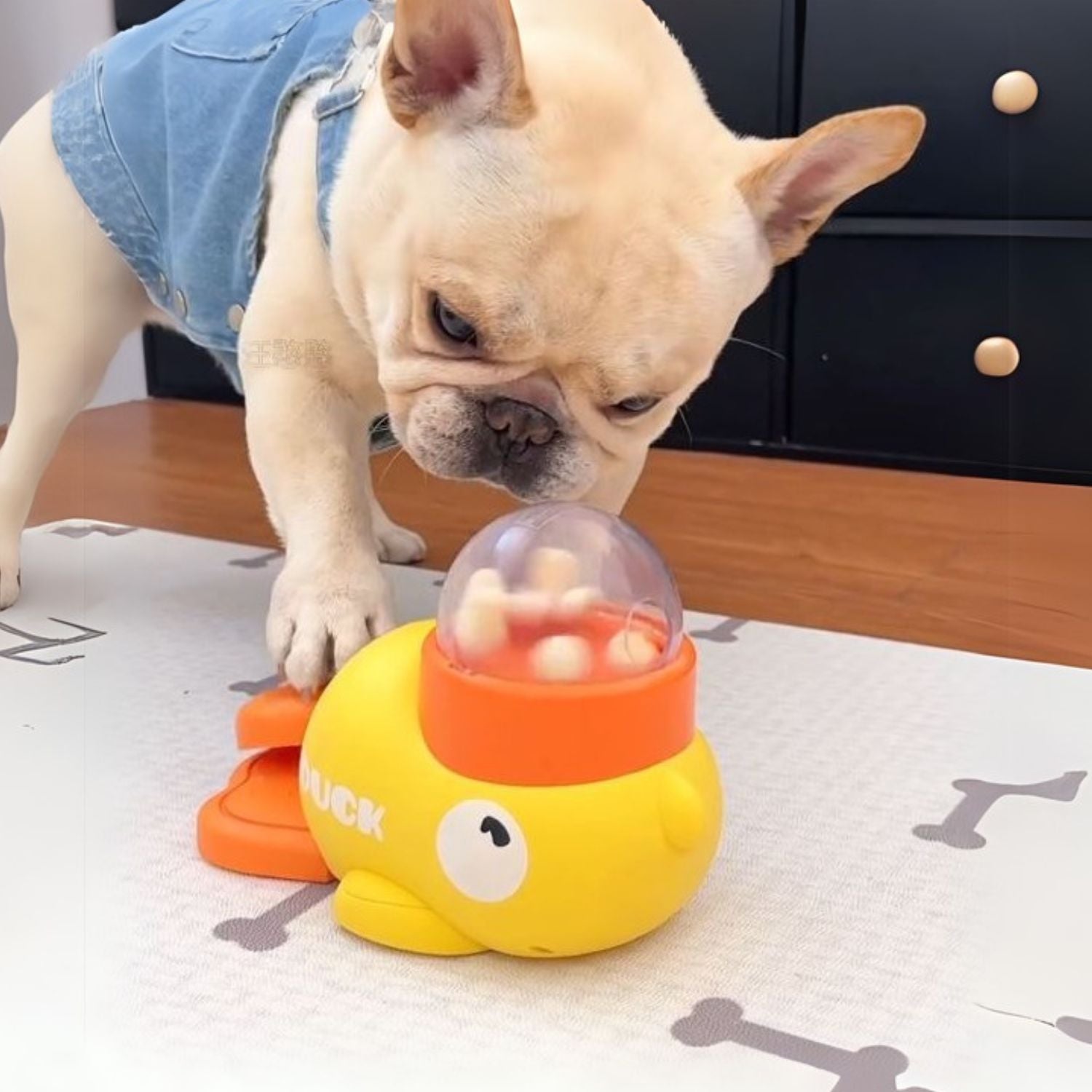 French Bulldog Frenchie Food Puzzle Toy – Slow Feeder Dispenser For