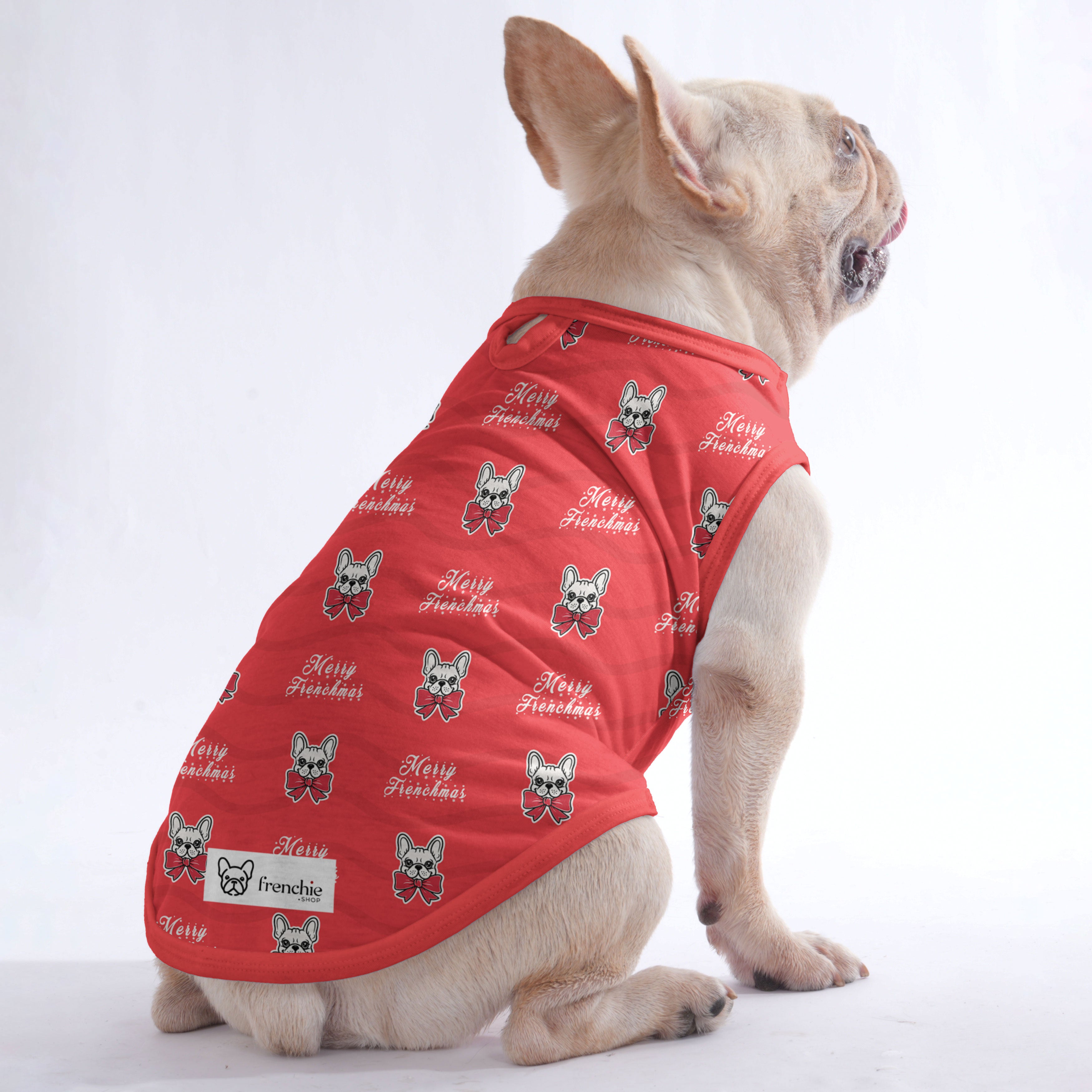 Elektra - Shirt for Frenchies - Frenchie Shop Original