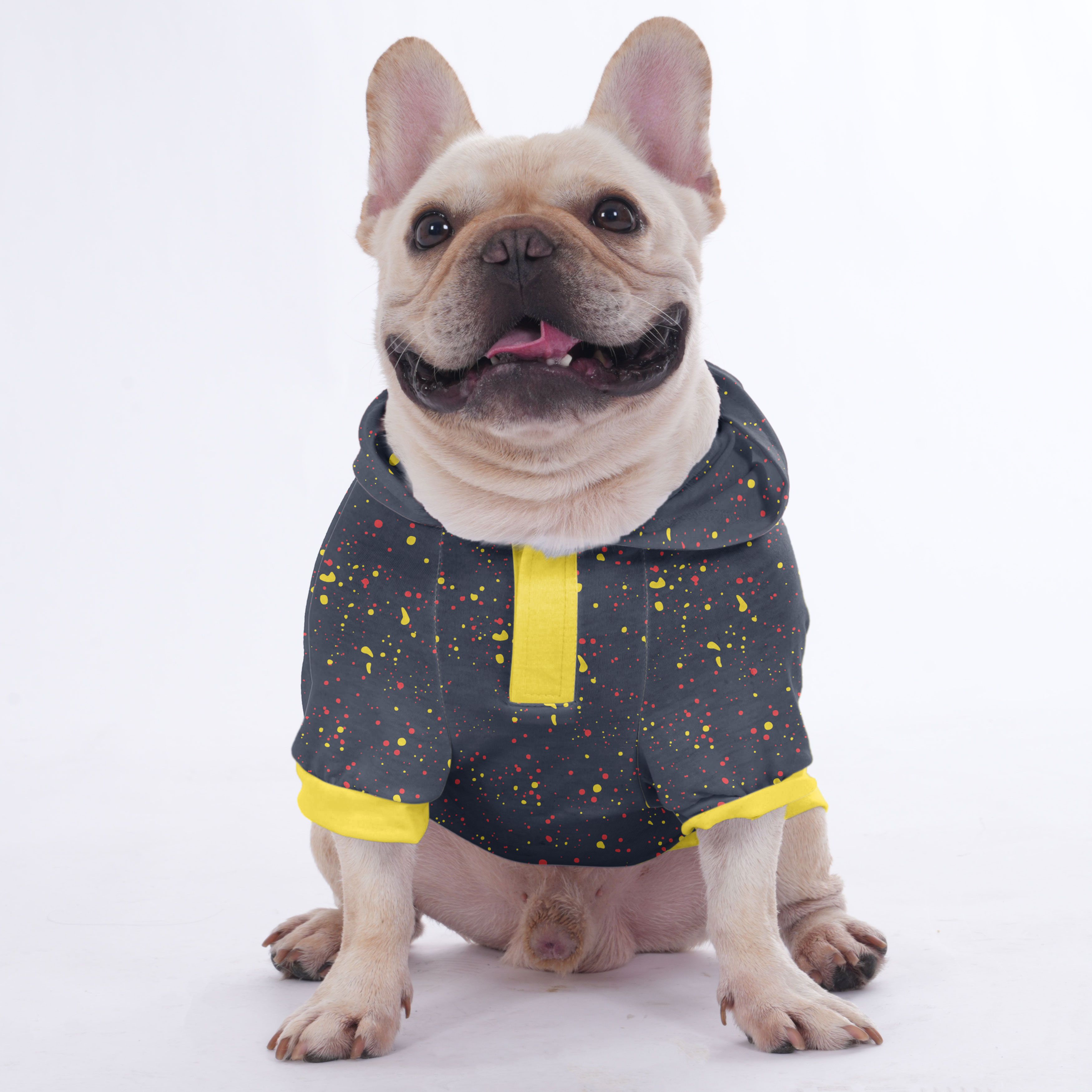 Woke up Sexy as Hell Again - Hoodies for French Bulldog | Frenchie Shop Original