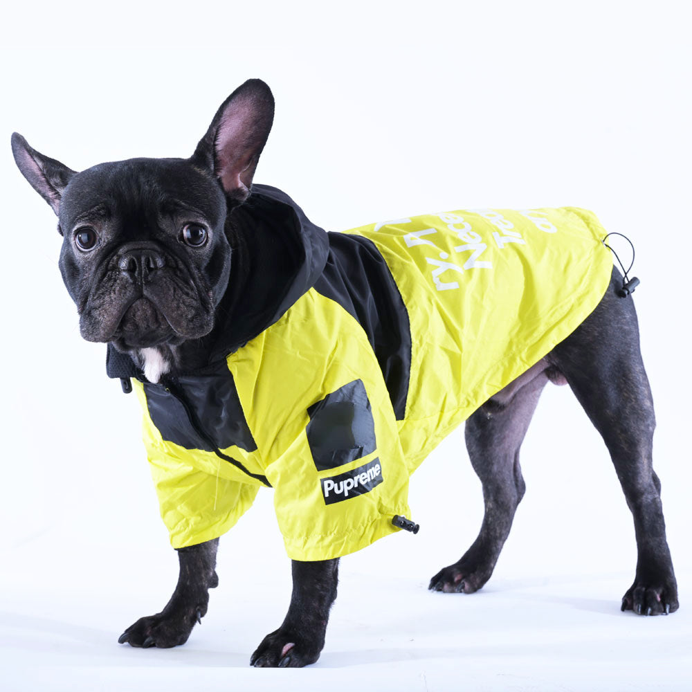 Comfortable Pawmax Raincoat Plus - French Bullog Raincoat for Pet