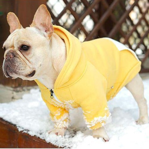 Lover Hoodie For Frenchies (cs6) Pet Owner Apparel | Trendy Style