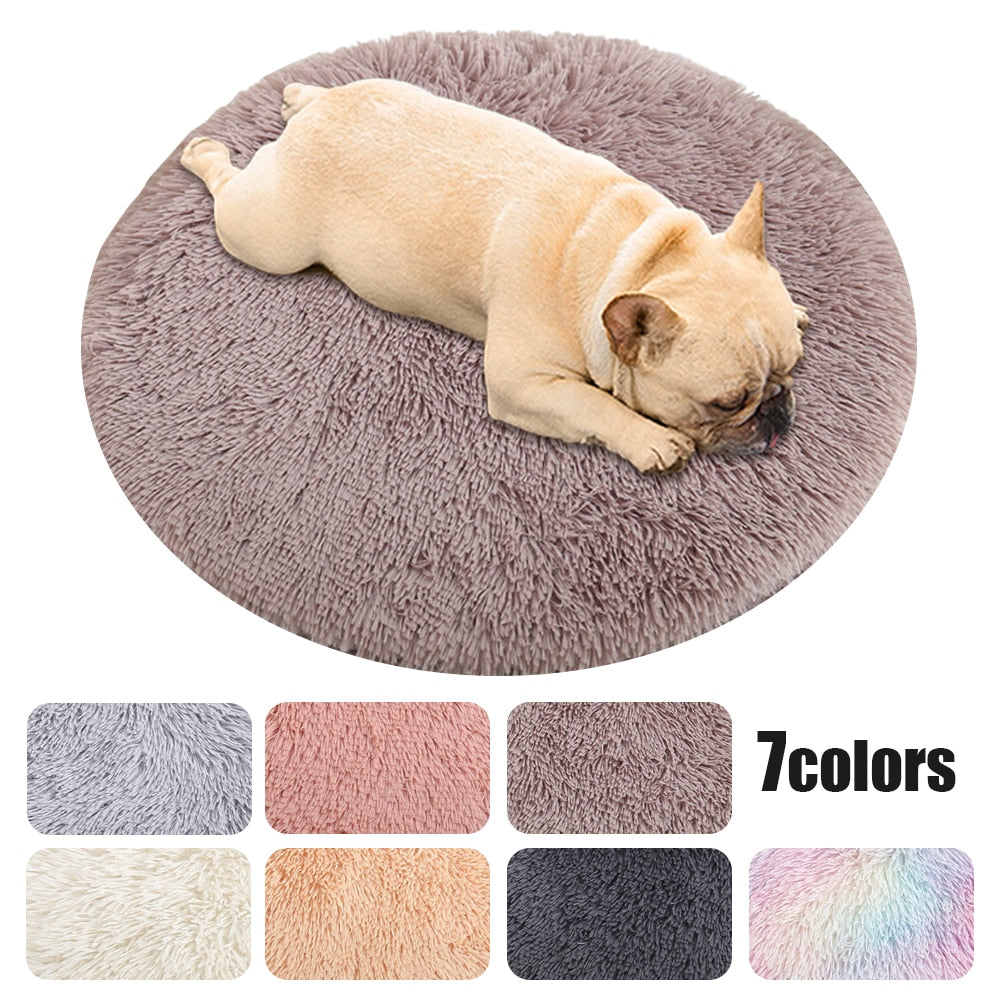 French Bulldog Soft Plush Beds For French Bulldog Fun Frenchie Play Toy
